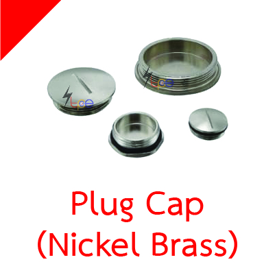 ปลั๊กอุดโลหะ (Nickel Brass Plug Cap)